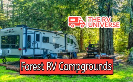 The Charm of Forest RV Campgrounds