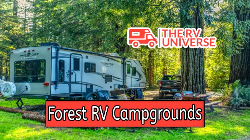 The Charm of Forest RV Campgrounds